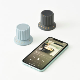 🎁 Gift Idea #16 of 100 BRUNO Waterproof Wireless Bluetooth Speaker with Volume Knob