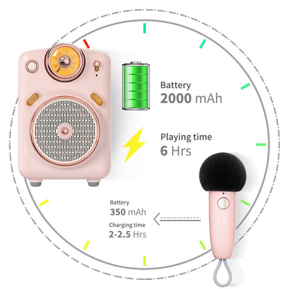 Divoom Fairy-OK Retro Mini Karaoke Bluetooth Speaker With Microphone Girl & Children Gift - EdgeFollow